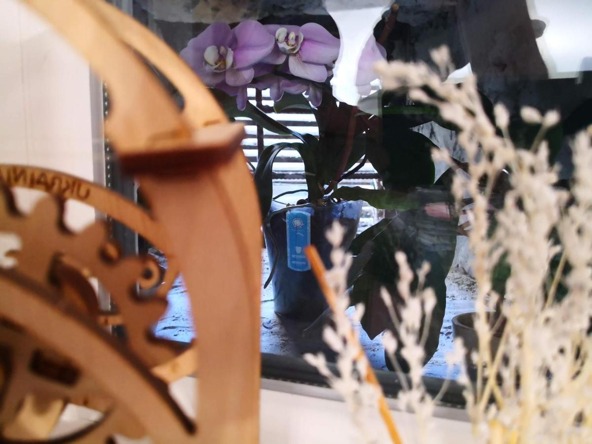 Затишні Апартаменти, Вулиця Дерибасівська, 13 Οδησσός Εξωτερικό φωτογραφία